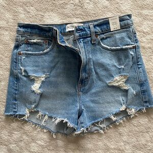 NWT Abercrombie & Fitch High Rise Mom Short / Size 29 Size 8